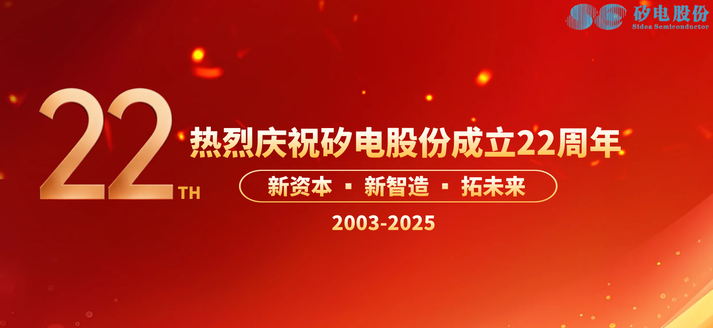 廿二载&middot;新纪元：矽电股份的2025坐标